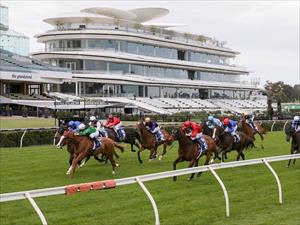 Riddle Me That - Paris Lane Stks, Flem 3 Oct 2020 Riddle Me That - Paris Lane Stks, Flem 3 Oct 2020